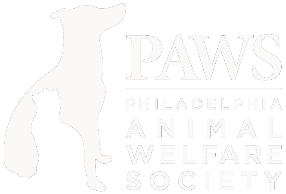 Philly Paws logo