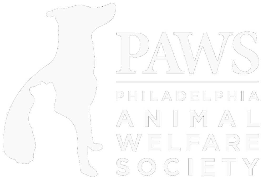 philly paws logo